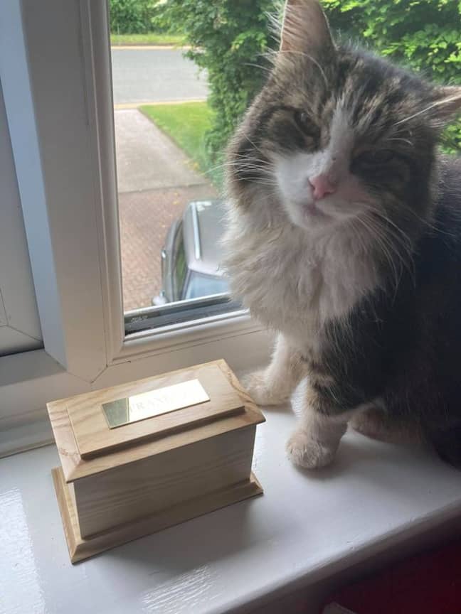 Frankie with the ashes of the other cat they cremated. Credit: Rachel Fitzsimons