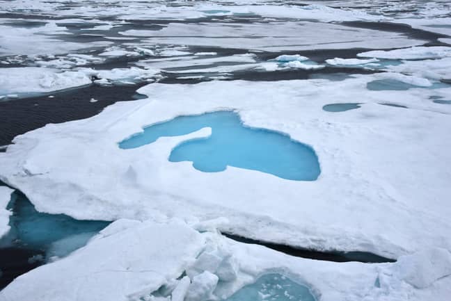 A melt pond in the Arctic Ocean at the North Pole in 2015. Credit: PA