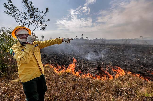 A worker of the Brazilian Institute of the Environment and Renewable Natural Resources points at the damage caused by fire. Credit: PA