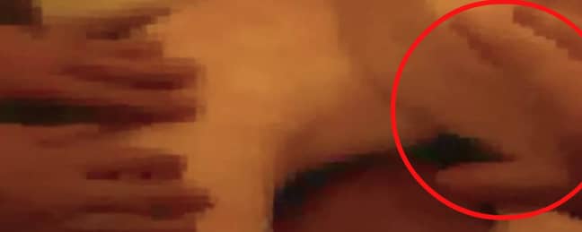 The third hand (circled) in Magnotta's cat-killing video. Credit: Netflix