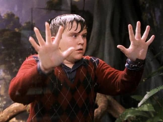 Melling as Dudley in Harry Potter. Credit: Warner Bros