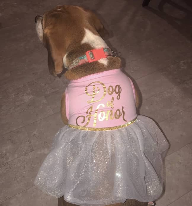 Miley has a special dress for the big day. Credit: Jam Press