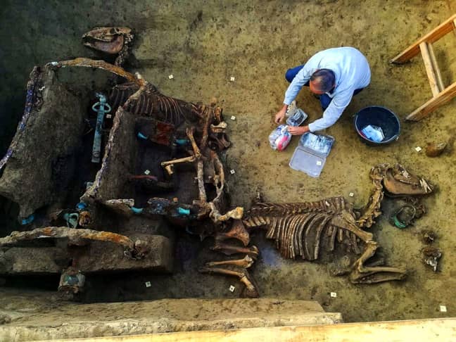 Archaeologists Unearth Fossilised Roman Chariot With Two Horses In Croatia - LADbible