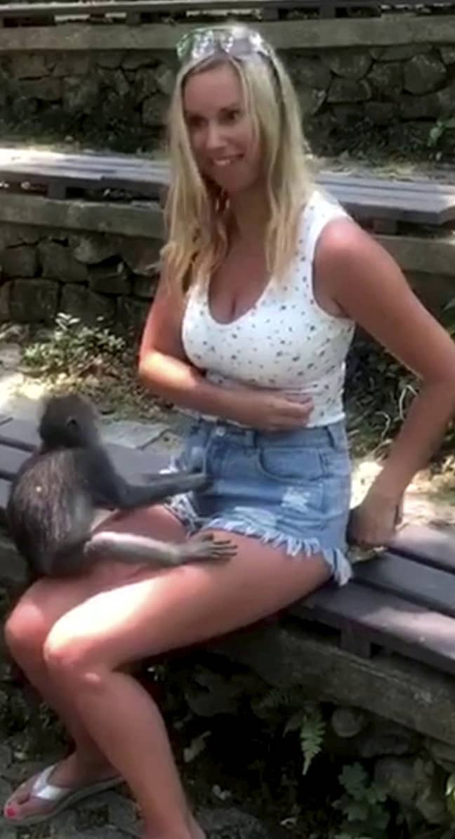 The primate tried to undo her shorts. Credit: SWNS