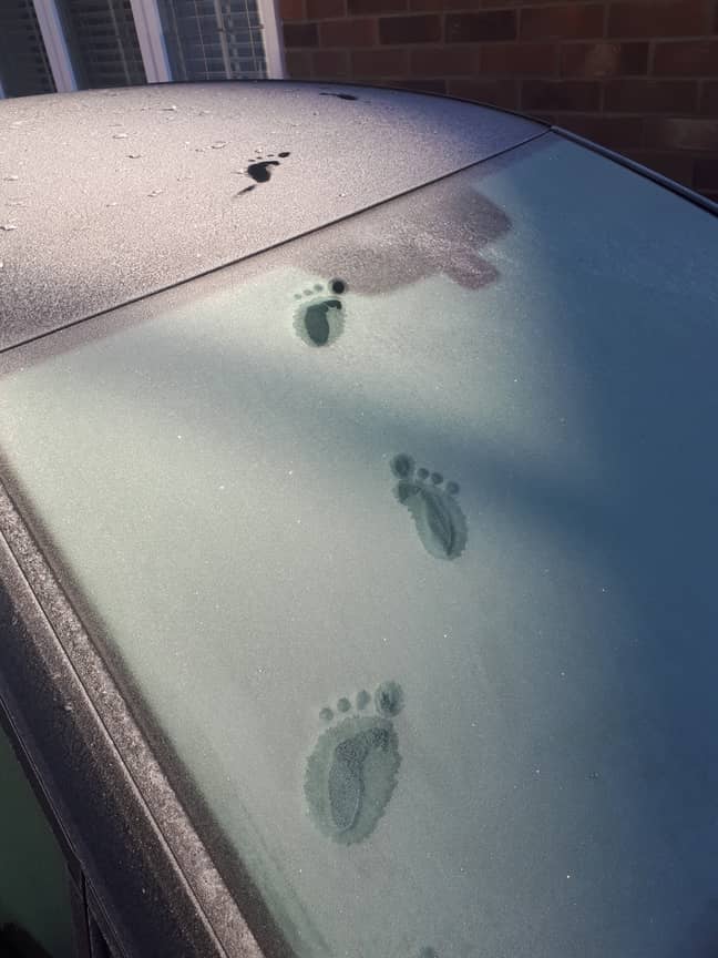 Alicia was baffled when she saw the footprints on her car. Credit: BPM