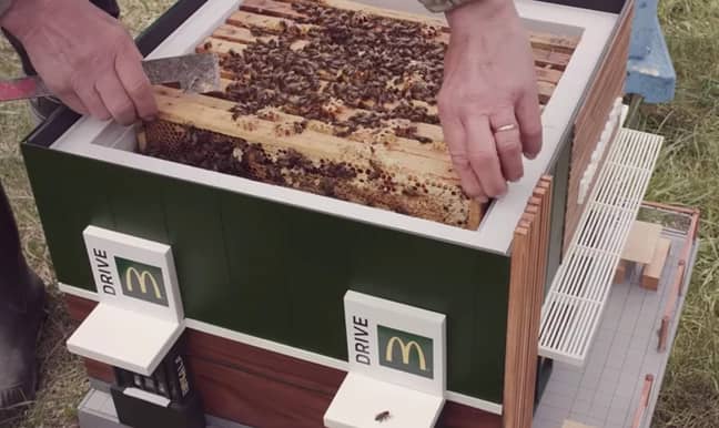 McDonald's has opened its smallest restaurant - which is actually a beehive. Credit: NORDDDB