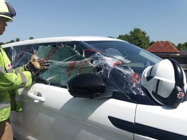 The car's window was smashed to release Bertie. Credit: Facebook/Saffron Walden Fire Station