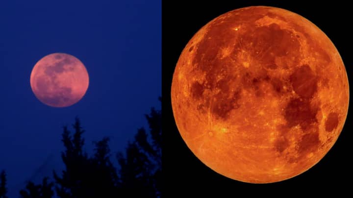Blood Red Moon 'Will Bring The End Of The World Today'
