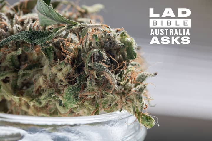 LAD Asks: Vast Majority Of Australians Want Weed Legalised For Recreational Use