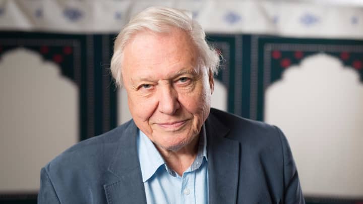Sir David Attenborough Opens Up About His Health Problems 
