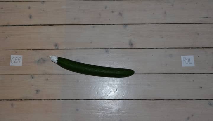 This Cucumber Is Predicting The Results Of Euro 2016