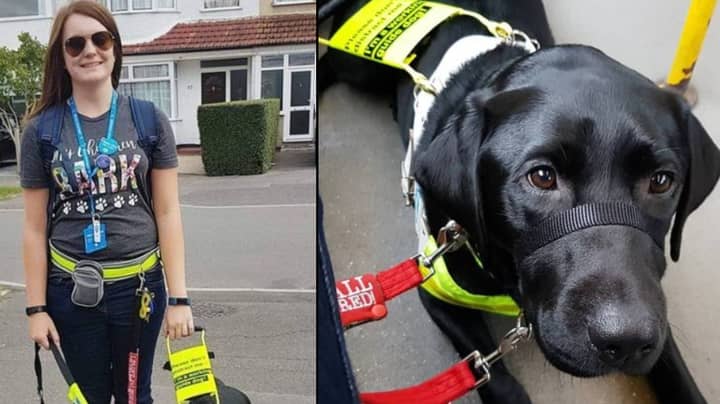 Disabled Woman Told To Remove Her Guide Dog From Bus Because It Was Black
