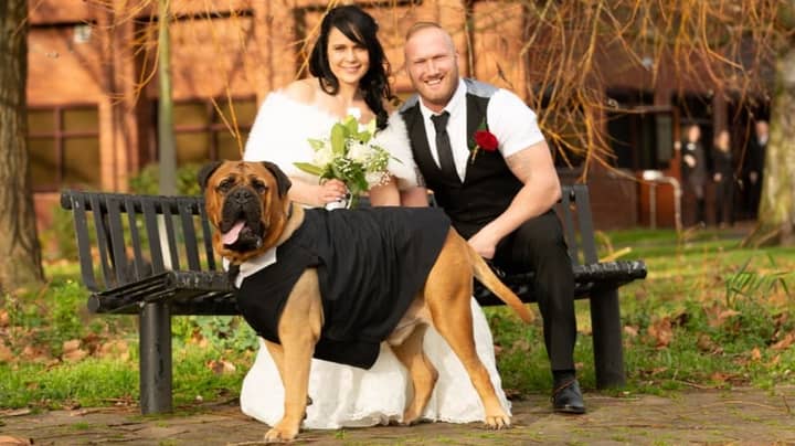 Couple Bring Forward Wedding So Dog Can Attend Following Cancer Diagnosis