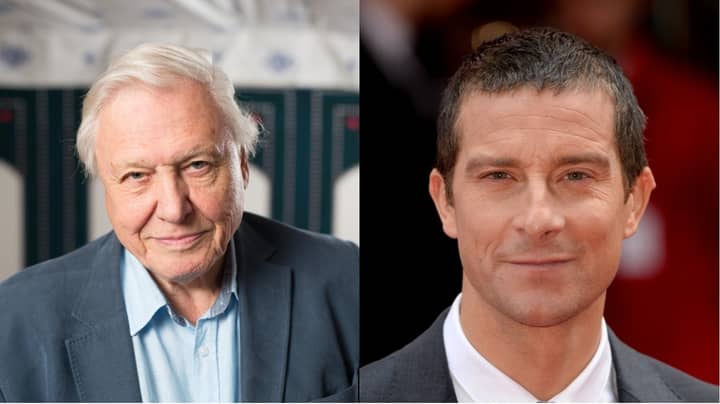 David Attenborough Goes In On Bear Grylls For Killing Animals In TV Show -  LADbible