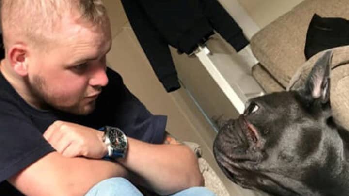 Dog Dies Just 15 Minutes After Owner Passes Away From Cancer