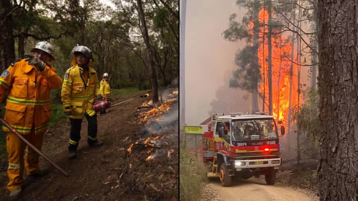 Fire Brigade Shuts Down Rumour That The Greens Are To Blame For Bushfires