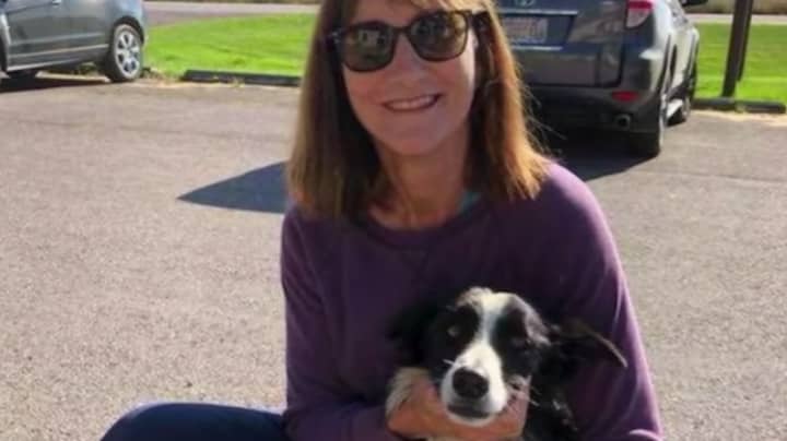 Woman Quits Job And Spends 57 Days Searching For Her Lost Dog