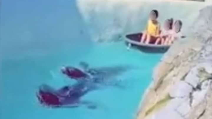Disturbing Video Shows Seal Towing Children In Boat With Rope Around Its Neck