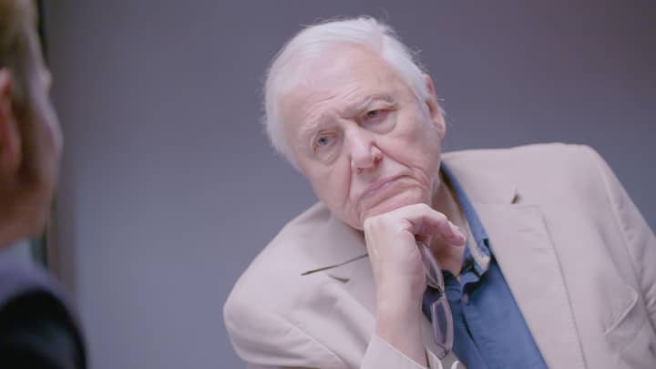 Sir David Attenborough Reveals The Most Upsetting Thing He’s Ever Filmed