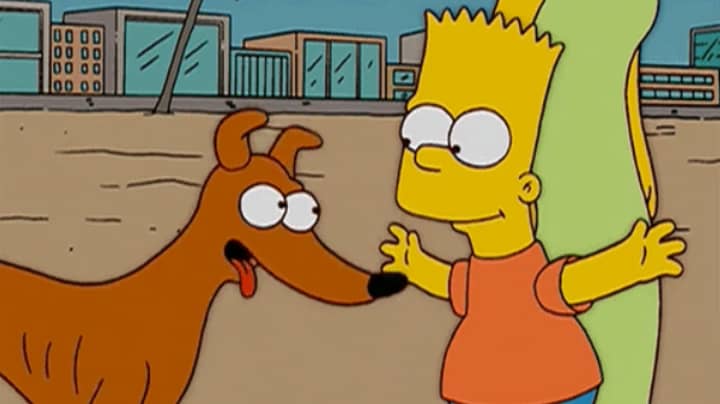 Dogs Can Understand What You're Saying, According To Science