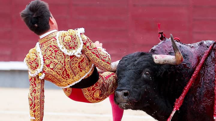 Matador In 'Serious Condition' After Being Gored In The Groin 