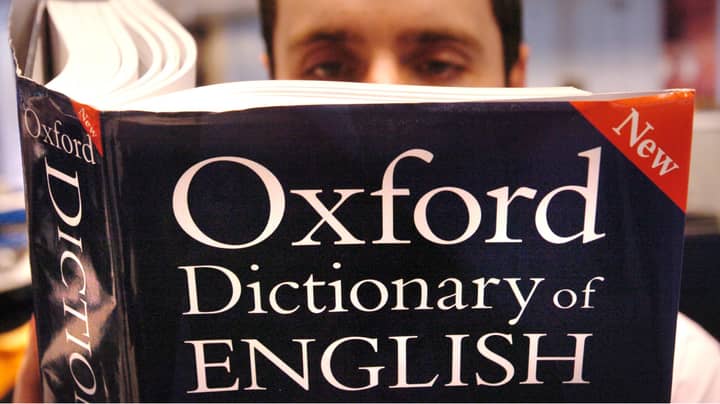 Study Finds People Who Always Point Out Grammar Mistakes Are Uptight