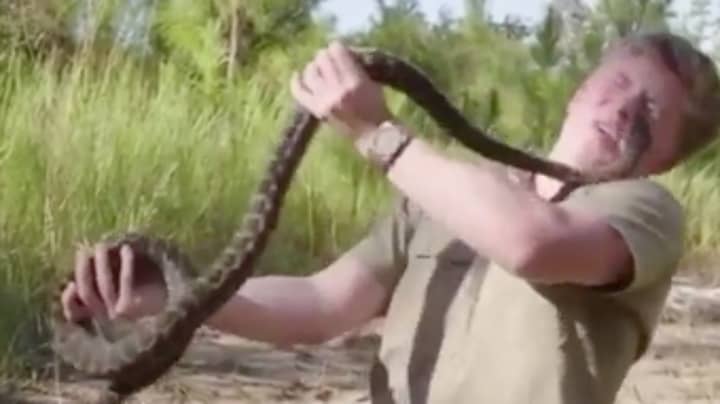 Robert Irwin Gets Bitten On Face By Same Species Of Snake That Bit Dad Steve