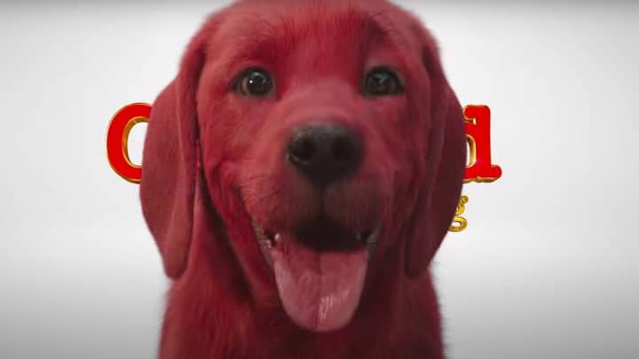 First Look At The Live-Action Clifford The Big Red Dog Movie 