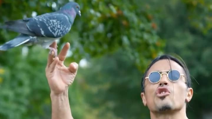 Salt Bae Leaves People Baffled As He Feeds Pigeons In Park Wearing A 'Bin Bag'