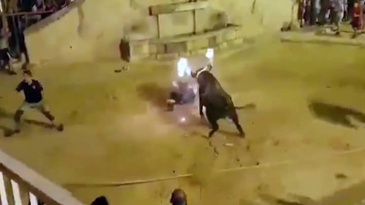 Man Hospitalised After Being Trampled During Spanish Bull Fighting Festival
