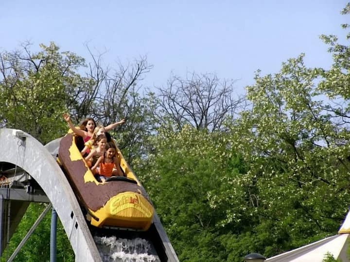 Theme Park Items Are Being Auctioned Online - Including A Log Flume
