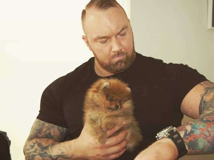 The Mountain From 'Game Of Thrones' Has Adopted A Really Tiny Puppy