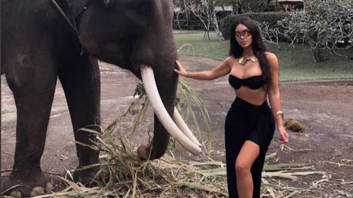 People Are Furious At Kim Kardashian's Holiday Pics Where She Poses With Elephants