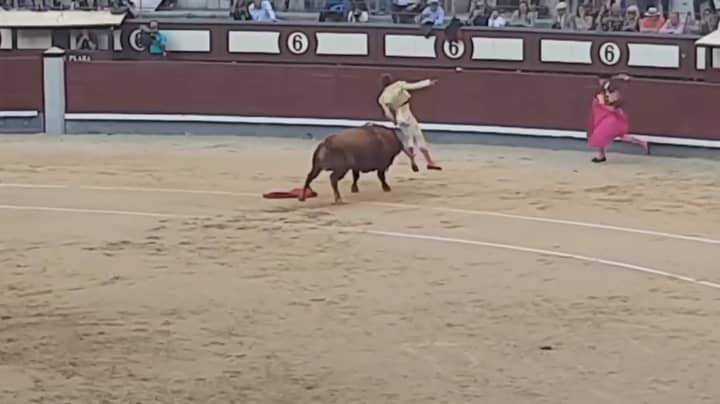Video Shows Matador Being Gored In The Backside By A Bull
