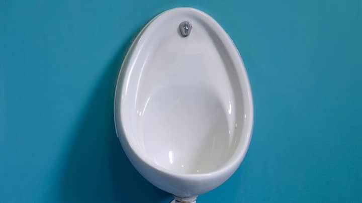 People Horrified After Lad Installs Urinal In Unconventional Spot In His Home 