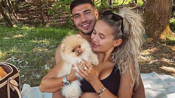 Molly-Mae Hague Cries As She Reveals What Killed Her New Puppy