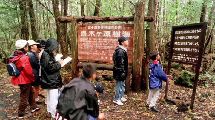 Japan Is Trying To Prevent Deaths In The 'Suicide Forest' Where Logan Paul Filmed