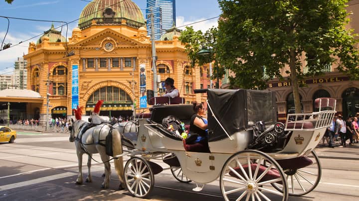 Horse-Drawn Carriages Will Be Banned From Melbourne's CBD