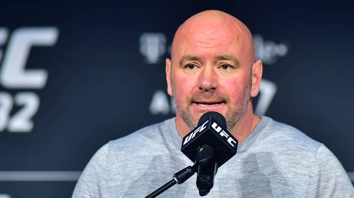 ​Dana White Reveals When Conor McGregor Is Likely To Fight