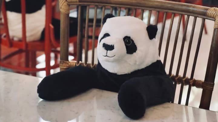 Restaurant Puts Panda Toys At Tables To Keep Diners Company While Social Distancing