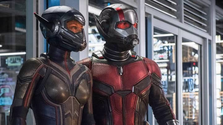 Ant-Man 3 Confirmed As Director Peyton Reed 'Signs Up' To Return
