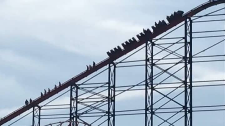 Blackpool's 213 Foot Big One Rollercoaster Breaks Down With Riders Having To Walk Down Stairs
