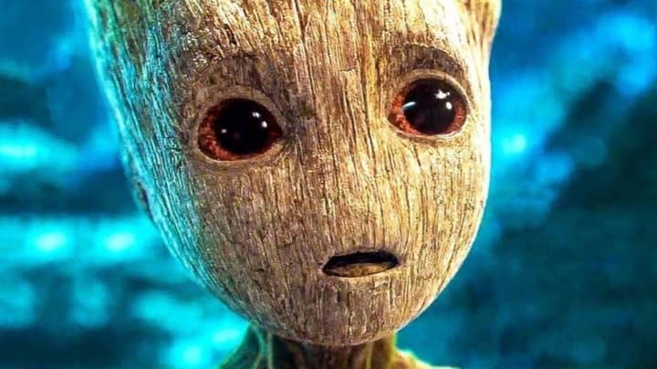 Botanist Explains How Baby Groot Lived On In ‘Guardians Of The Galaxy’ 