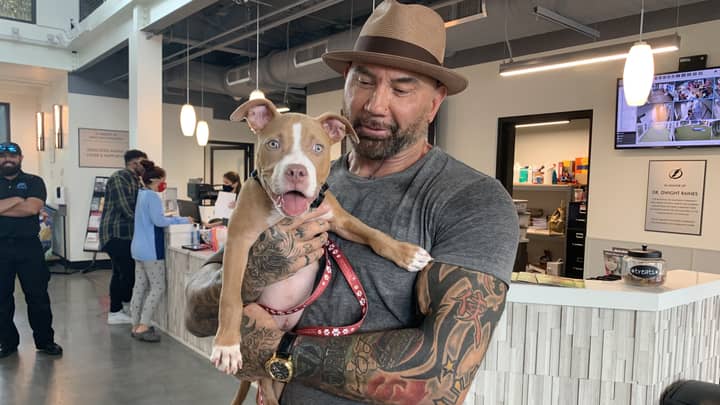 Dave Bautista Adopts Abused Puppy And Offers $5k Reward To Find Abuser 