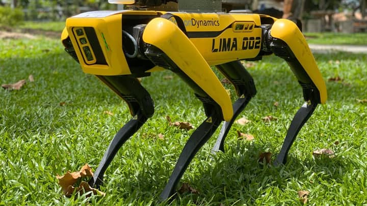 'Robodog' Is Patrolling Parks In Singapore To Help Enforce Social Distancing 