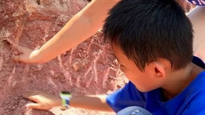 Boy Finds 11 Dinosaur Eggs In China