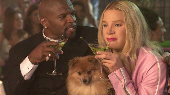 Terry Crews Says White Chicks 2 Is Happening