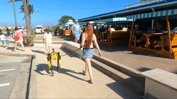 Boston Dynamics Robot Dog Spotted Taking A Walk Along Florida Beachfront