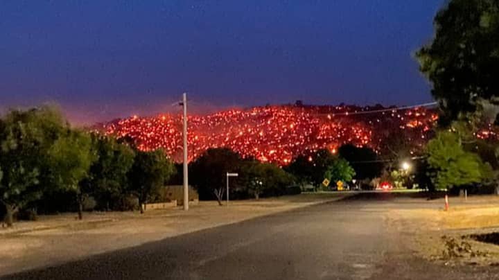 Images Show Australian Hillside 'Glowing In The Dark' As Bushfire Crisis Continues
