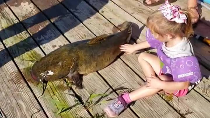 Girl, 4, Catches Massive 33 Pound Fish With Kids Frozen-Themed Fishing Rod